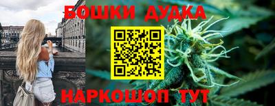 гидра Можга