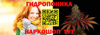 гидра Можга