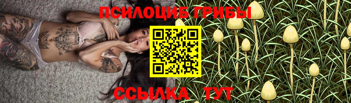 Псилоцибиновые грибы Psilocybine cubensis Видное
