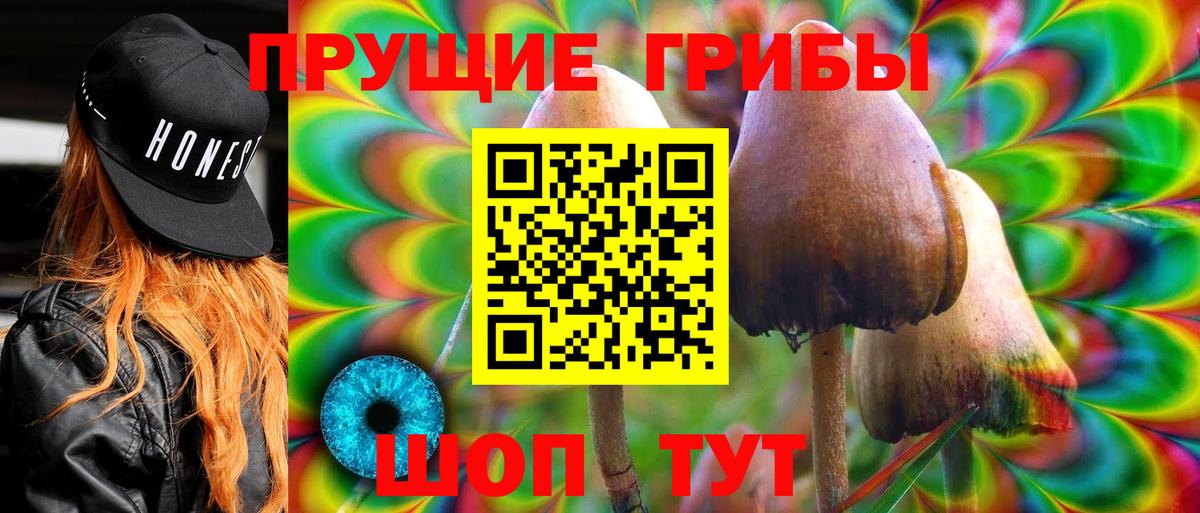 Галлюциногенные грибы мицелий  Псилоцибиновые грибы Psilocybine cubensis  Видное  Вход с VPN 